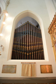 organ