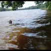 As alligators hunt at night I first felt quite safe swimming alone to the middle of the lake. Until… I saw an alligator surface parallel to me only a few meters away. Given the size of the head I knew the whole of it would be about 5 meters. Not losing a heartbeat I very carefully swam back to the shore and stayed close to the banks forever after