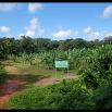 Bienvenidos - at the piscigranja - fish farm. I am so glad seeing the jungle open to this happy spot