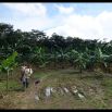 A lovely family is looking after the fish farm and the plantations