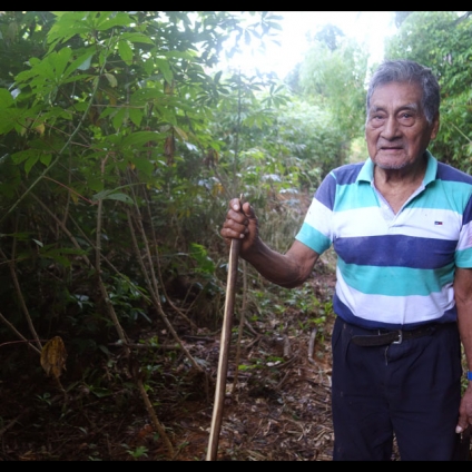 Don Ignacio’s was the tale of years of hardship, endurance and perseverance. A gentle soul, his body expressed the pain. The craniosacral therapy session with him was one of the most moving moments of my life