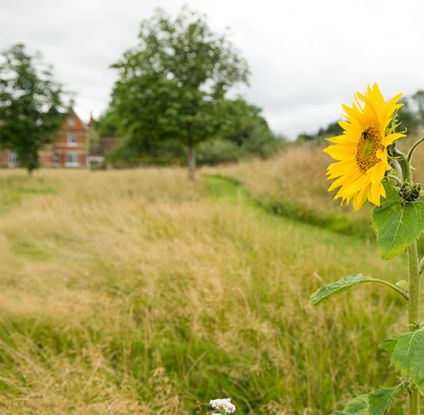 Khiron House – Residential Clinic Gardens in Oxfordshire